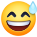 Facebook上的满脸汗水的笑容emoji表情