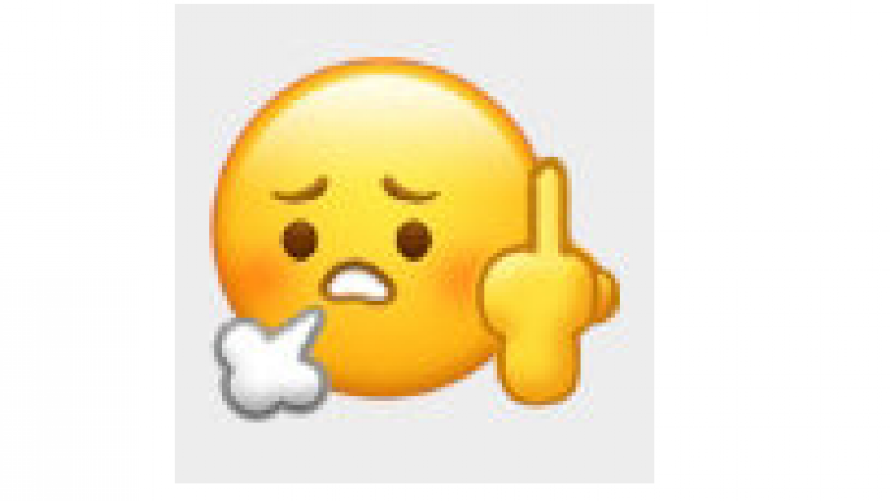 emoji表情包|竖起不屈的中指表情第二弹