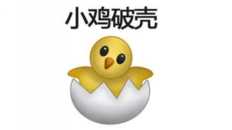 emoji表情包 | 小鸡破壳表情包缩略图