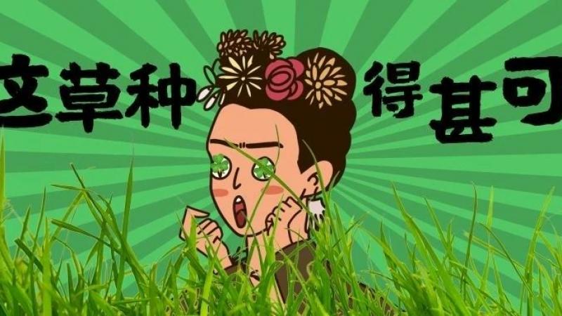 微信昵称竟然可以被“种草” ？！ 这个emoji颜文字符号有点秀哦