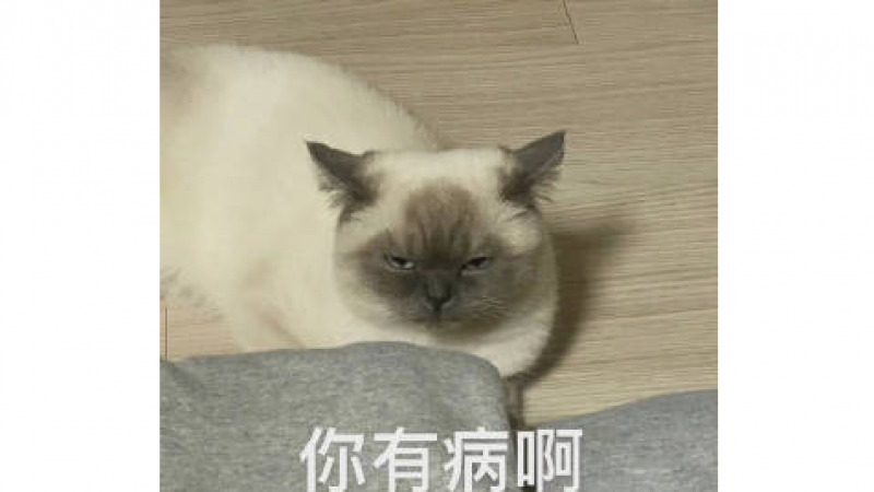 煤老板挖煤工小猫咪表情包，黑的恰到好处