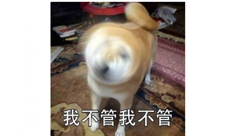 狗子你变了表情包合集